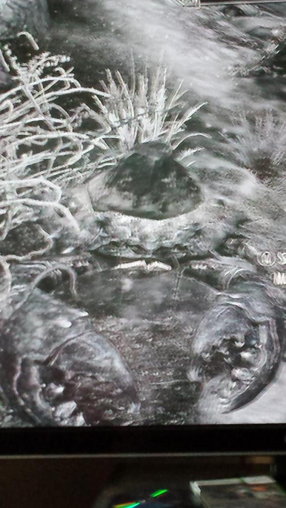 coon_nathan's tweet photo. @pewdiepie the new Dr Crab http://t.co/KHCNTSCNul