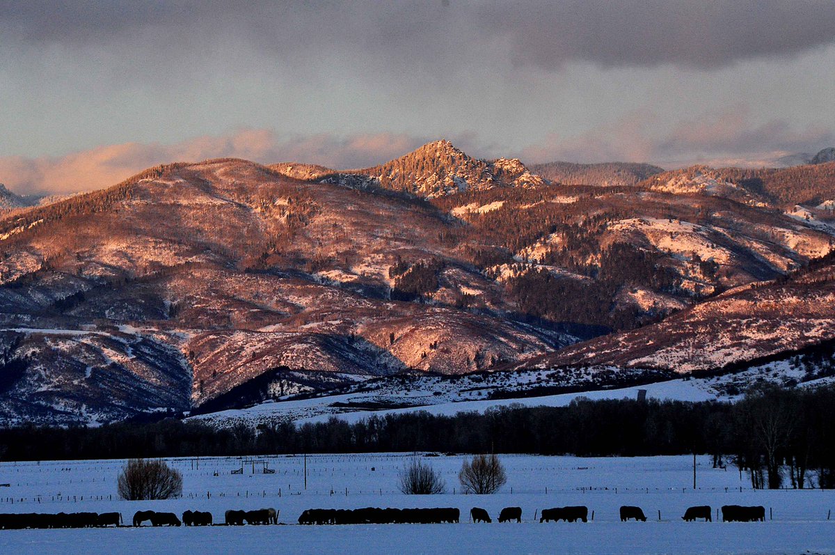 Blake Pemberton (blake_pemberton) Twitter