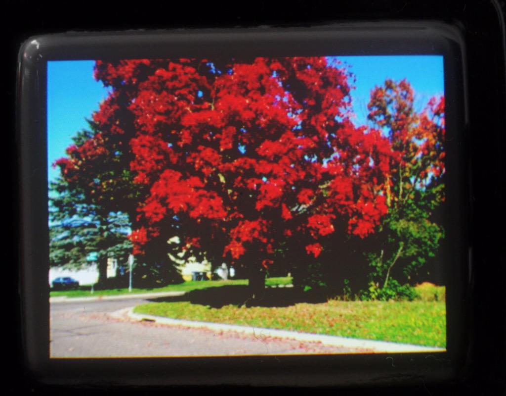 lajy's tweet photo. #NATUREPACK @InstaCRT http://t.co/zoDz9fLWjD