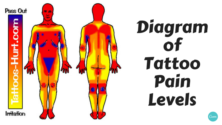 Tattoo Pain Chart Female  A tattoo pain map for women