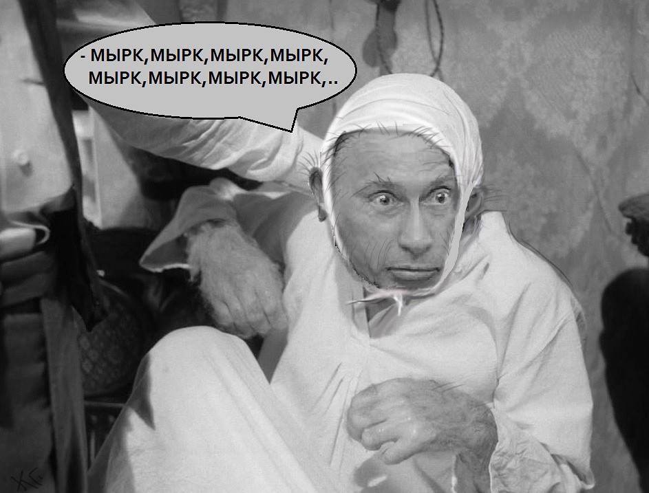 Климкин на деревянном велосипеде принял участие в проукраинском флешмобе в Нидерландах - Цензор.НЕТ 7590