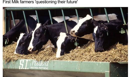 TeamDairy247's tweet photo. So - #AandBQuota ?

@first_milk are the 1st - will rest follow?
Start of a new quota system ?

http://t.co/KzJcSc5PEN http://t.co/M5GWY2x7iZ
