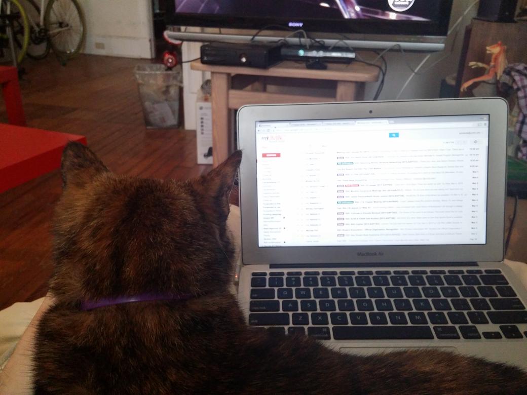 UMBCEvents's tweet image. Hope you're enjoying your snow day! We've recruited a guest scheduler for ours.