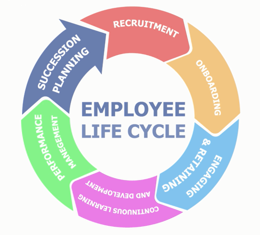 Stages Of Employee Life Cycle | Images and Photos finder