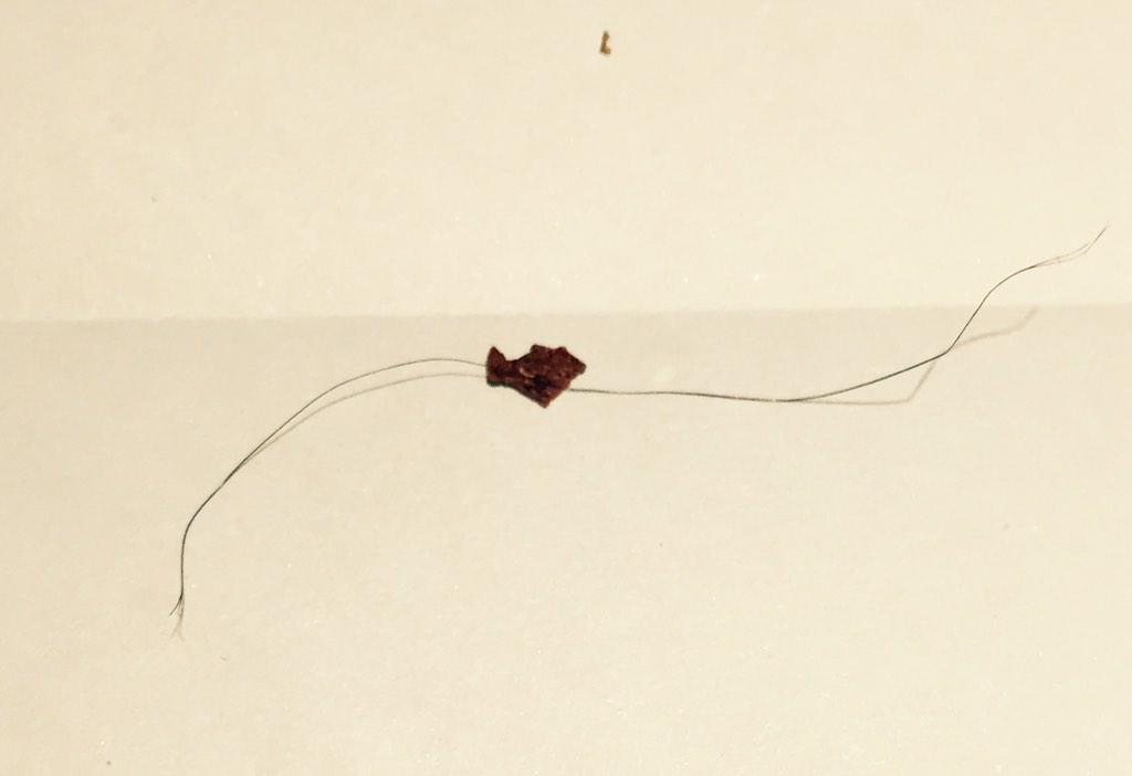 EmilyBramer's tweet photo. @waitrose- found this nasty looking hair threaded through a chilli flake in a box of waitrose hot chilli flakes #urgh http://t.co/EgvoWpoeiA