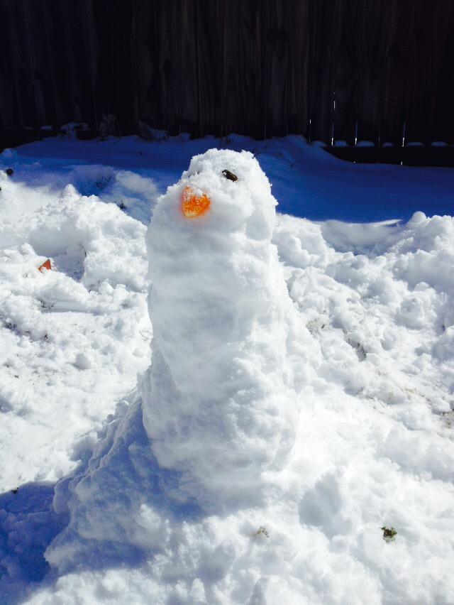 awesomeayan tweet media