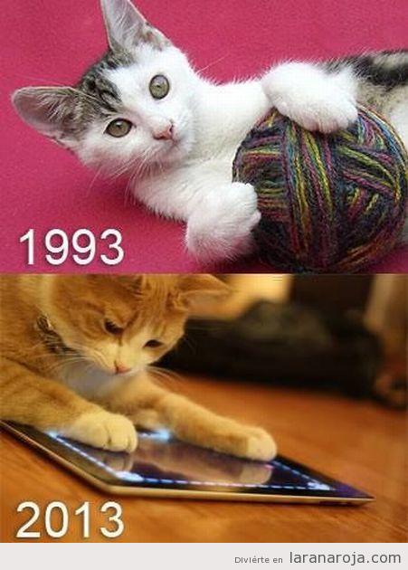 comunicafelina's tweet photo. La vida ha cambiado para todos #gatos #tecnología #catlife http://t.co/llxgzlqZmZ
