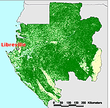 ECA_OFFICIAL's tweet photo. Avec seulement 0,1% de taux de déforestation, on dirait “Go, Gabon, Go!” #ForestFactory http://t.co/1JBLGOh2eH http://t.co/sS7Xv1jIvb