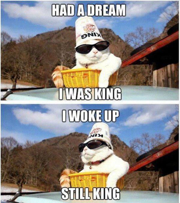 MensHumor's tweet photo. I had a dream last night... http://t.co/ntRDf1qhXu