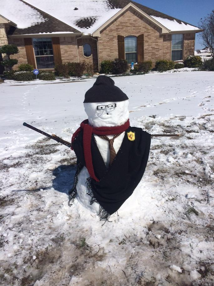 Harry Potter #elaextracredit#wildcatway