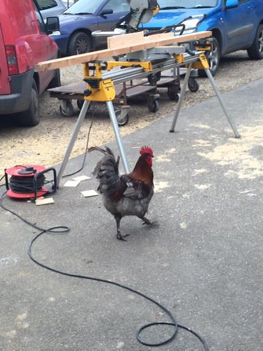 Beeston Farm Shop tweet media