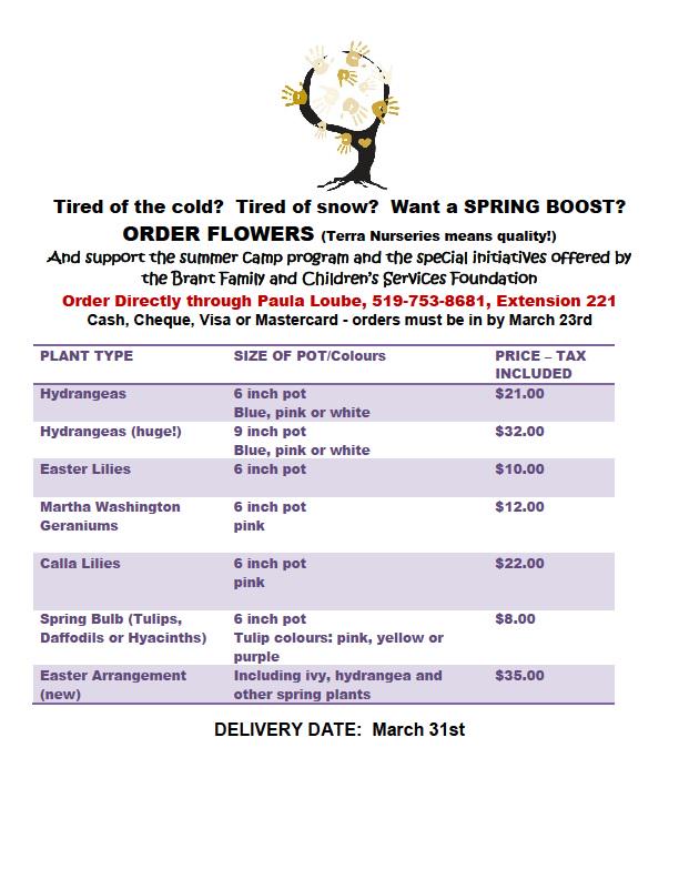 BrantFACS's tweet photo. Spring flowers beautiful Terra Nursery quality!  Support summer camp - we sent over 400 local children last year. http://t.co/Qt05qU4uIh
