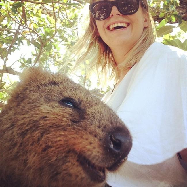 Quokka Selfies: What's the Deal With That Cute Australian Critter?