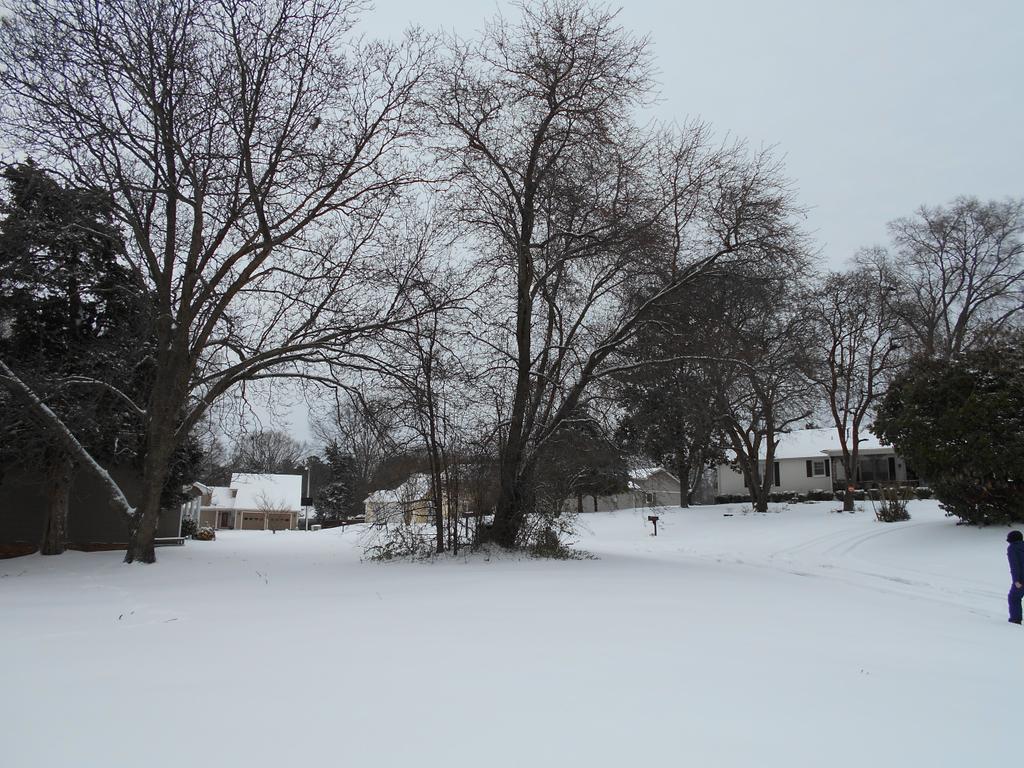 Z_p_p_x's tweet photo. Who doesn't like the snow in school days? 😂😂 #snow4ever http://t.co/5iA3qe561L