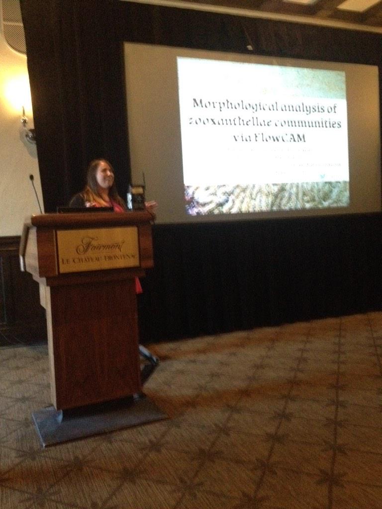 Steven McMurray tweet media