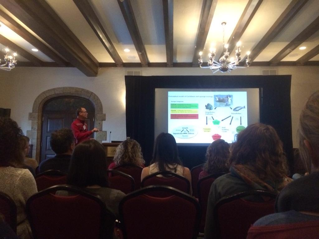 Jack C Koch (jackckoch.bsky.social) tweet media