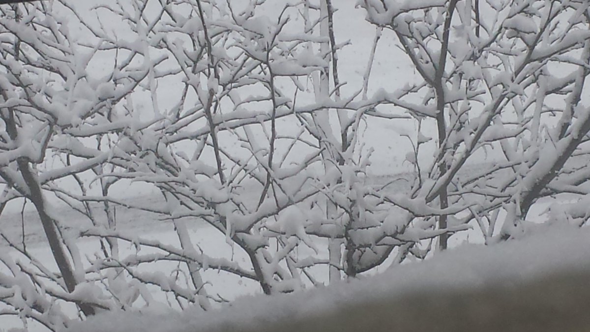 ateliersucre_ny's tweet photo. Snow day! What are you baking?
#snow #newyorklife #bakingtime #frenchencas #foodlover #foodporn #pastries #chefs http://t.co/S8S2aP0afZ