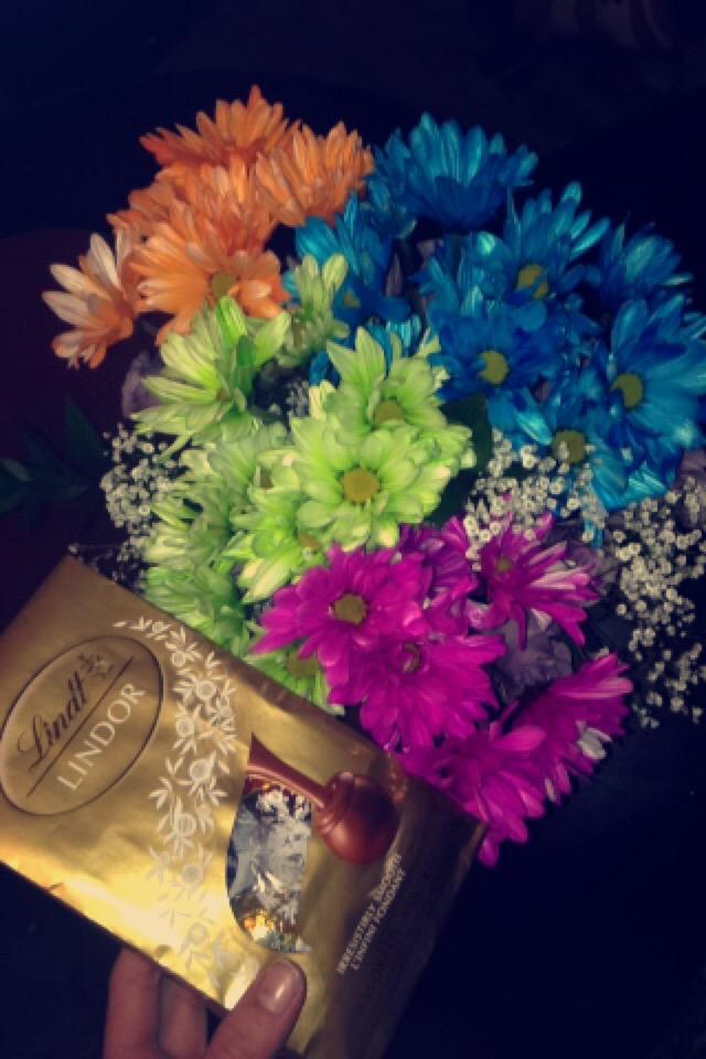 sophiebechkos's tweet photo. Bailey just surprised me &amp; showed up to my house with flowers &amp; chocolate for my birthday, thank you, love you ❤️💙💐 http://t.co/ZyaTJT7ALp