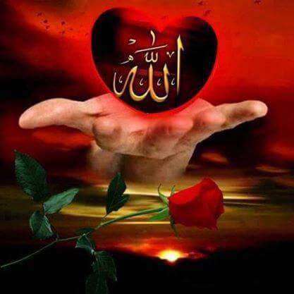 aboutaleb_ali tweet picture