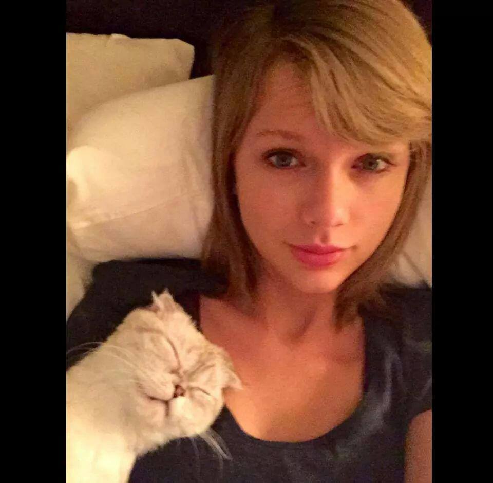 swiftieshiela's tweet image. RT TO VOTE
#BestLyrics @TaylorSwift13 #iHeartAwards #SwiftUp