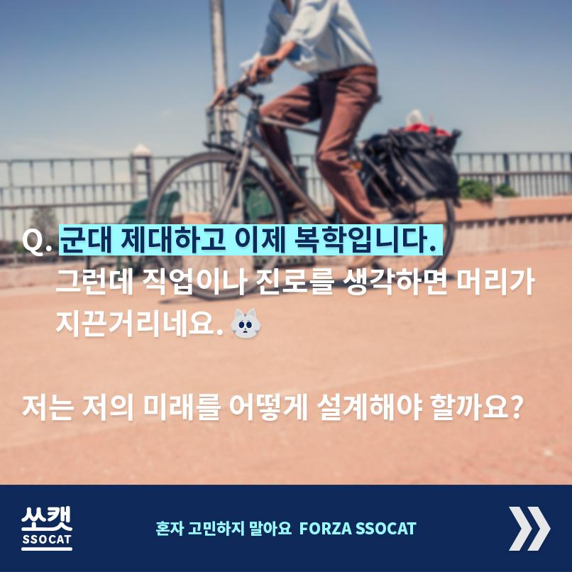 고민해결 고양이 - 쏘캣 tweet media