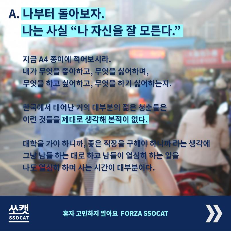 고민해결 고양이 - 쏘캣 tweet media