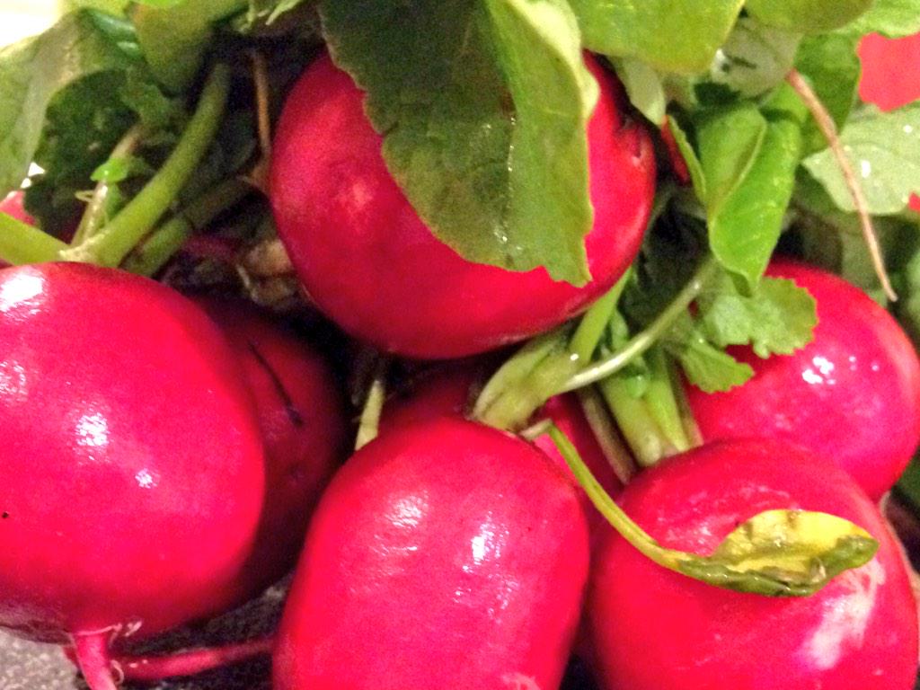 EatMoreRainbow's tweet photo. One of the most easiest recipes to make #RoastedRadishes. Try them! They're easy-only took 10 minutes to roast. #ETR http://t.co/cMSDbk94gf