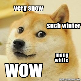 cecilydarcy's tweet photo. Somehow, this manages to sum up all my feelings about this endless winter. #verysnow #muchwinter http://t.co/flfKUt9CJJ