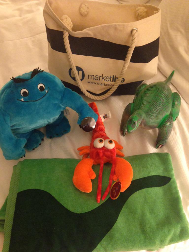 MicheleRB's tweet photo. Some of the strange things you need to pack when headed home from #BrontoSummit http://t.co/jWN7kHVe4x