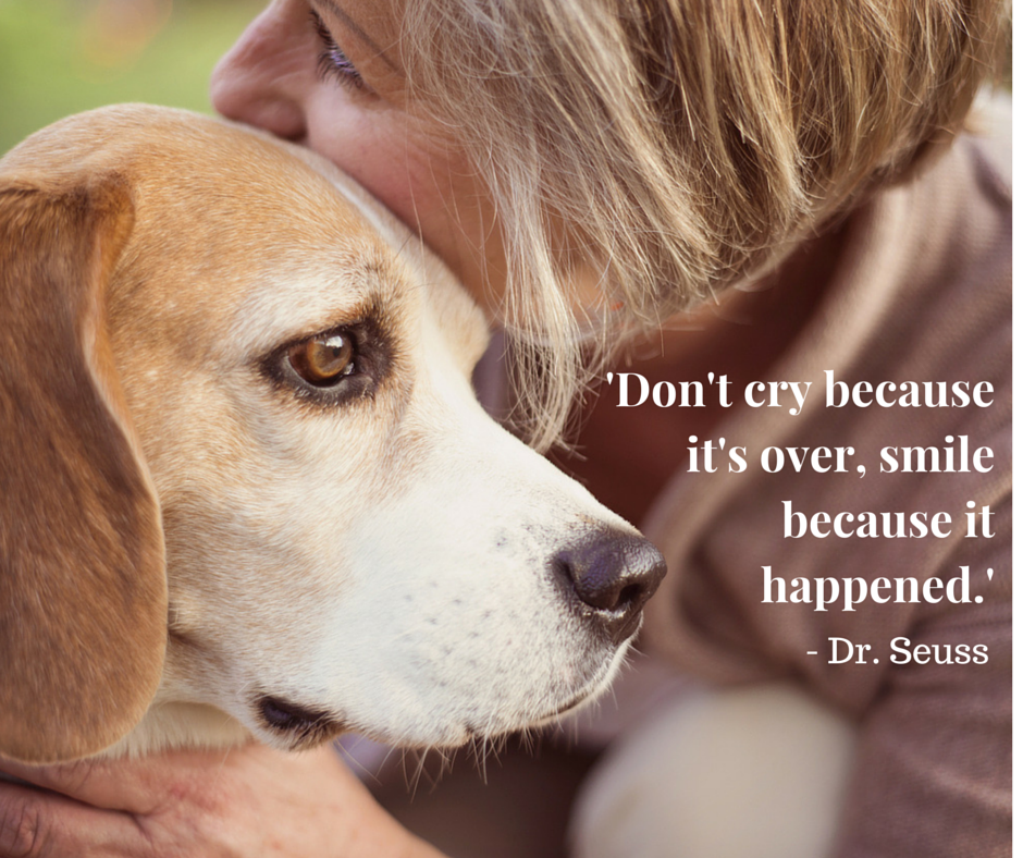 PetMD's tweet photo. 'Don't cry because it's over, smile because it happened.' #drseuss #petmd #quoteoftheday http://t.co/n41RIaFCS4