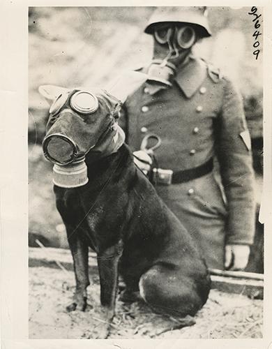 Succesvol minstens keten robert smith on Twitter: "Man and dog with gas mask in WWI http://t.co/5dLQgUqTxS" / Twitter Succesvol minstens keten robert smith on Twitter: "Man and dog with gas mask in WWI http://t.co/5dLQgUqTxS" / Twitter