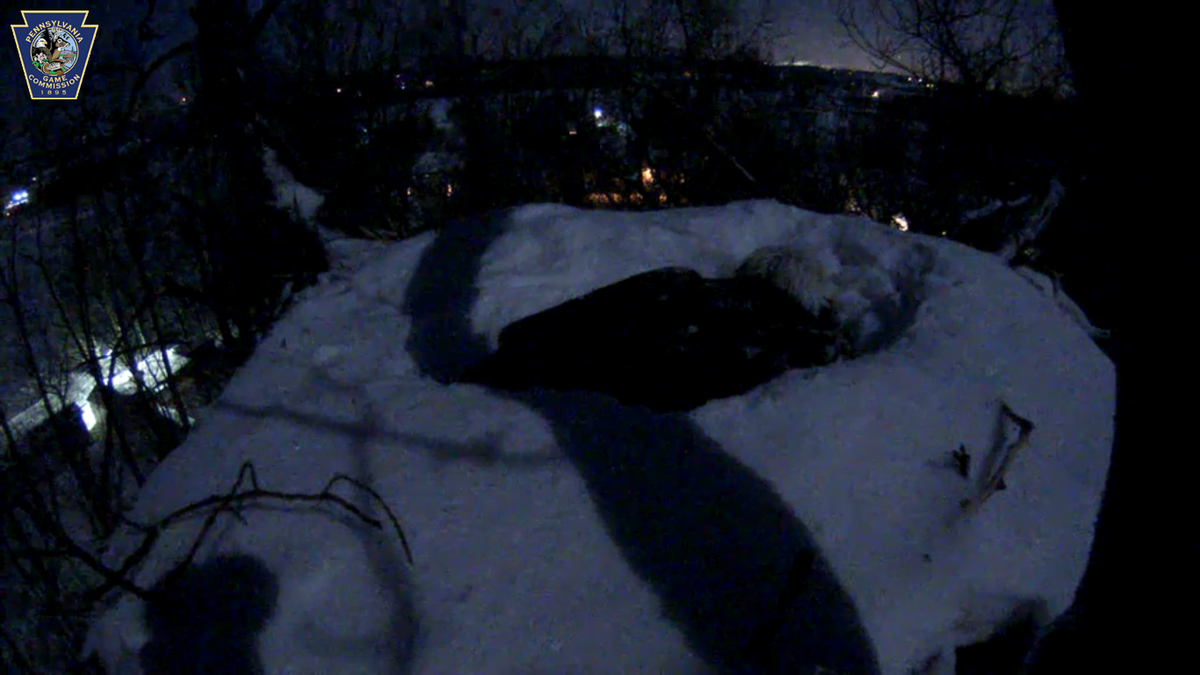 epattonLNP's tweet photo. The moon is shining on the snow-covered eagles' nest. #eaglecam http://t.co/n4hvtzOuz8