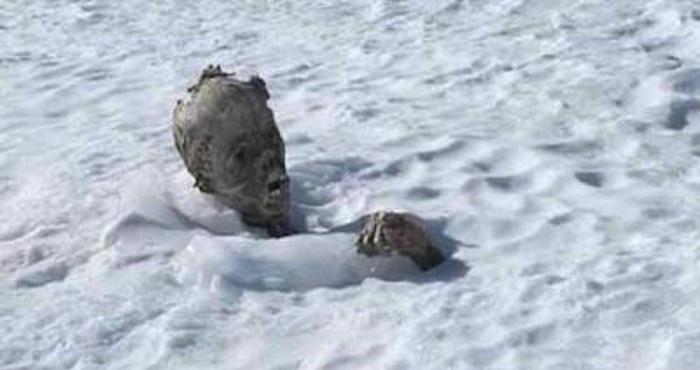 SinEmbargoMX's tweet image. La momia del Pico de Orizaba no estaba sola: hallan un segundo cuerpo congelado sinembargo.mx/05-03-2015/127…