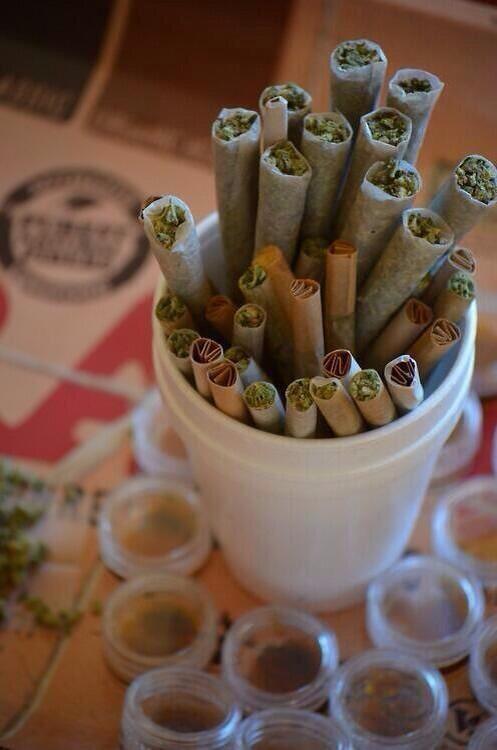 KushConfessions's tweet photo. RT if you need this http://t.co/jCruY6Zz00