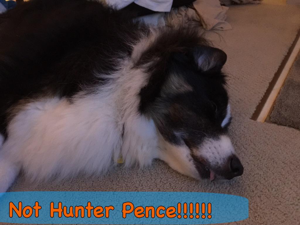 CatheeGiants's tweet photo. @chirpybirdgirl @HorneLynn @nickibabylove @nvwineandcigar @t_jh2009 @giantsgurl20 @PunkRockCavy 

#GetWellHunter http://t.co/eOhfysrPOi