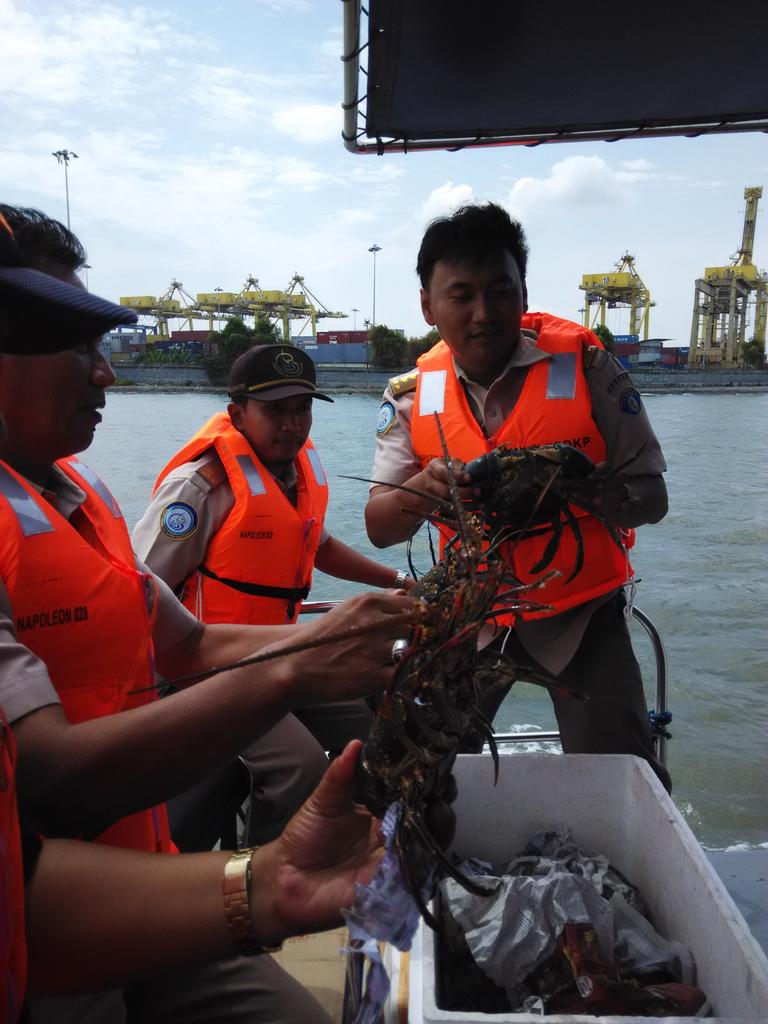 anugerahrindra's tweet photo. “@HBulls77: @noegsha persiapan pelepasan with psdkp, ksda, dinas kp propinsi http://t.co/IxXyMwfCQT”@HumasBkipm