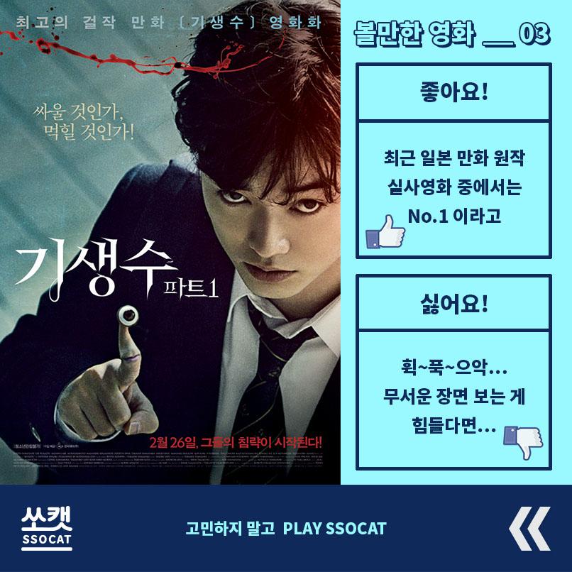 고민해결 고양이 - 쏘캣 tweet media