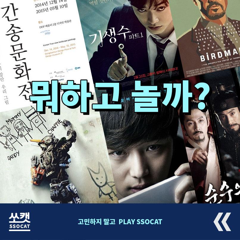 고민해결 고양이 - 쏘캣 tweet media