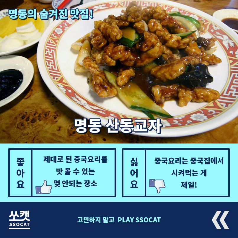 고민해결 고양이 - 쏘캣 tweet media