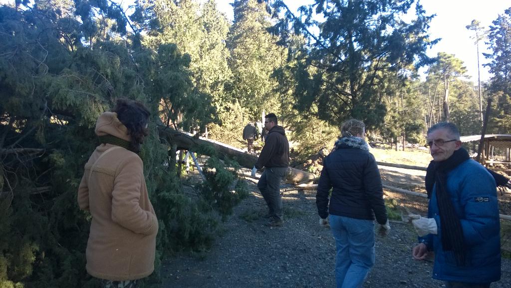 #rimbocchiamocilemaniche a lavoro #csn #prato