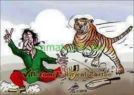 MMD_Patriot's tweet photo. جب شیر دھاڑتا ھے تو جنگل سے سارے گیدرڑ بھاگ جاتے ھے،شیروں کو سینیٹ الیکشن میں کلین سویپ بھت بھت مبارک.
#Senate4PMLN http://t.co/kGaUlqw3rU