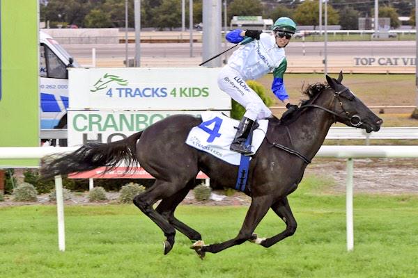 SthsideRacing's tweet photo. Great result lucky #4 @4tracks4kids taking out the 2nd tonight at Cranbourne Auntie Mo, for @cdsymons &amp; B McCarthy http://t.co/xMwvJXSZjt