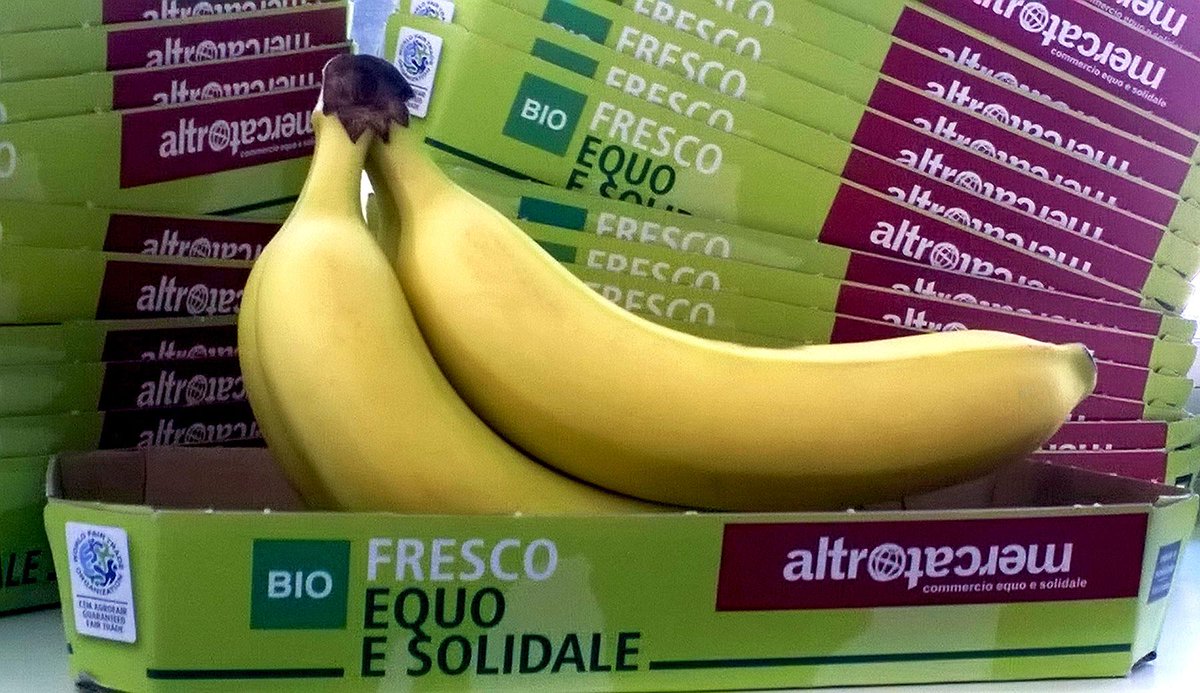 La Banana Bio Altromercato, diventa ancora più bella: da oggi con un pack tutto nuovo! altromercato.it/novita/banane-…