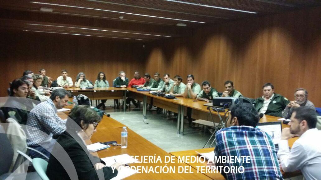 AAMM_And's tweet photo. Técnicos y Agentes de Medio Ambiente #AAMM de la DT #Sevilla preparando la Campaña de Protección del Aguilucho Cenizo http://t.co/C5d29nfGbD