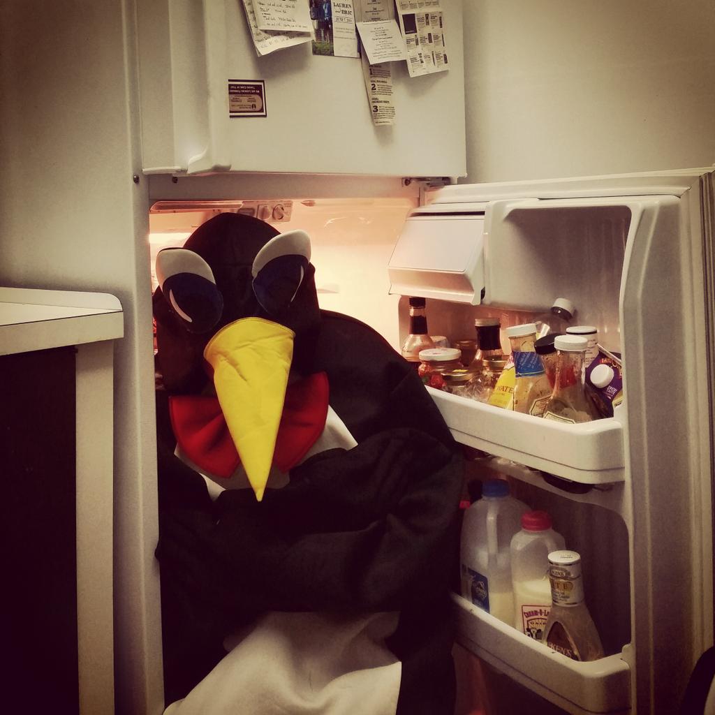 partyboxnyc's tweet photo. #PartyPenguin isn't used to warm weather! He's cooling down in the fridge so he can TURN UP 2nite NYC! #PartyinaBox http://t.co/UKpZU949DQ