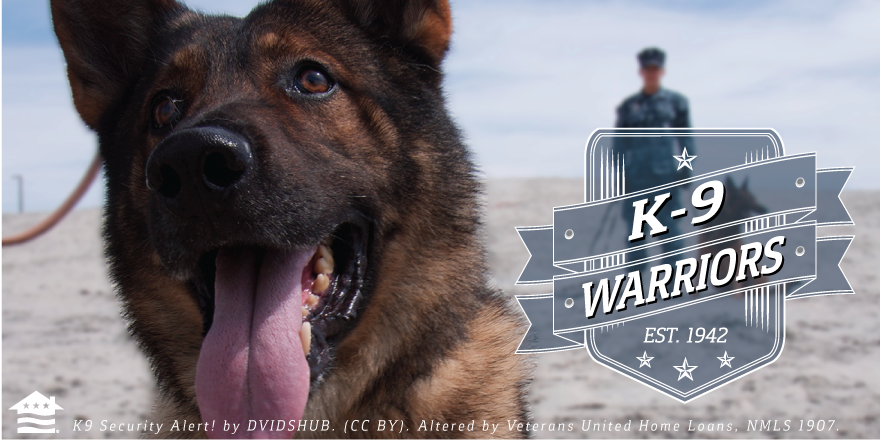 veteransunited's tweet photo. Happy K9 Veterans Day to our nation's fuzziest warriors! http://t.co/1pNYb7ErN1
