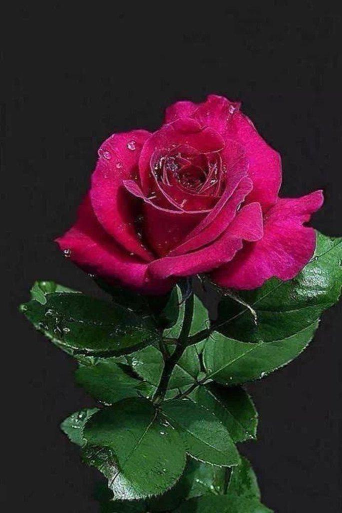 MarisynP's tweet photo. Buen día... http://t.co/ZcSJ1Ja23R
