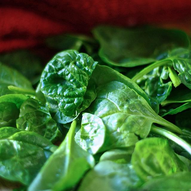 elanakaushal's tweet photo. SPINACH http://t.co/ahcoWViP0e