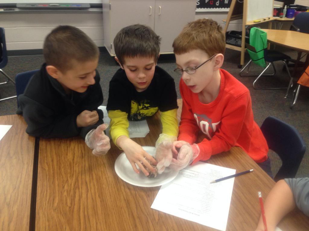 rosensquires's tweet photo. Parent volunteer Ashleigh Maxcey rocks! #bestbrainresearchever #sheepbraindissection http://t.co/sxVylPclNN