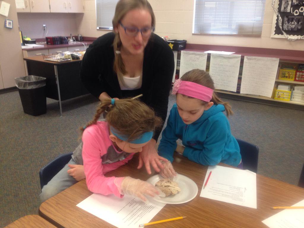 rosensquires's tweet photo. Parent volunteer Ashleigh Maxcey rocks! #bestbrainresearchever #sheepbraindissection http://t.co/sxVylPclNN